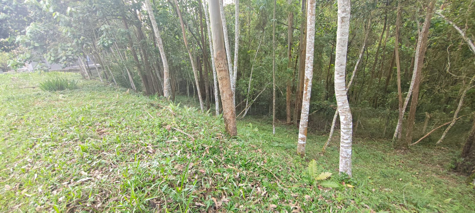 Foto do imóvel Terreno de 1.000 m² cercado de mata nativa no Capital Ville, imagem 1 de 3
