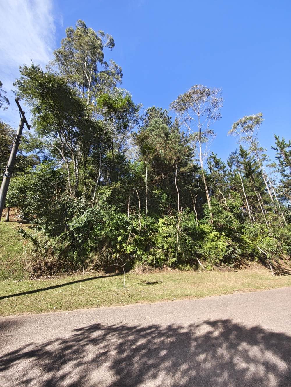 Miniatura da foto 2 do imóvel OPORTUNIDADE - Terreno com Ótima Topografia - 1182m2